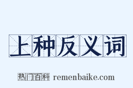 上种反义词是什么意思的图片